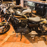 Harley-days fischer 08 150926